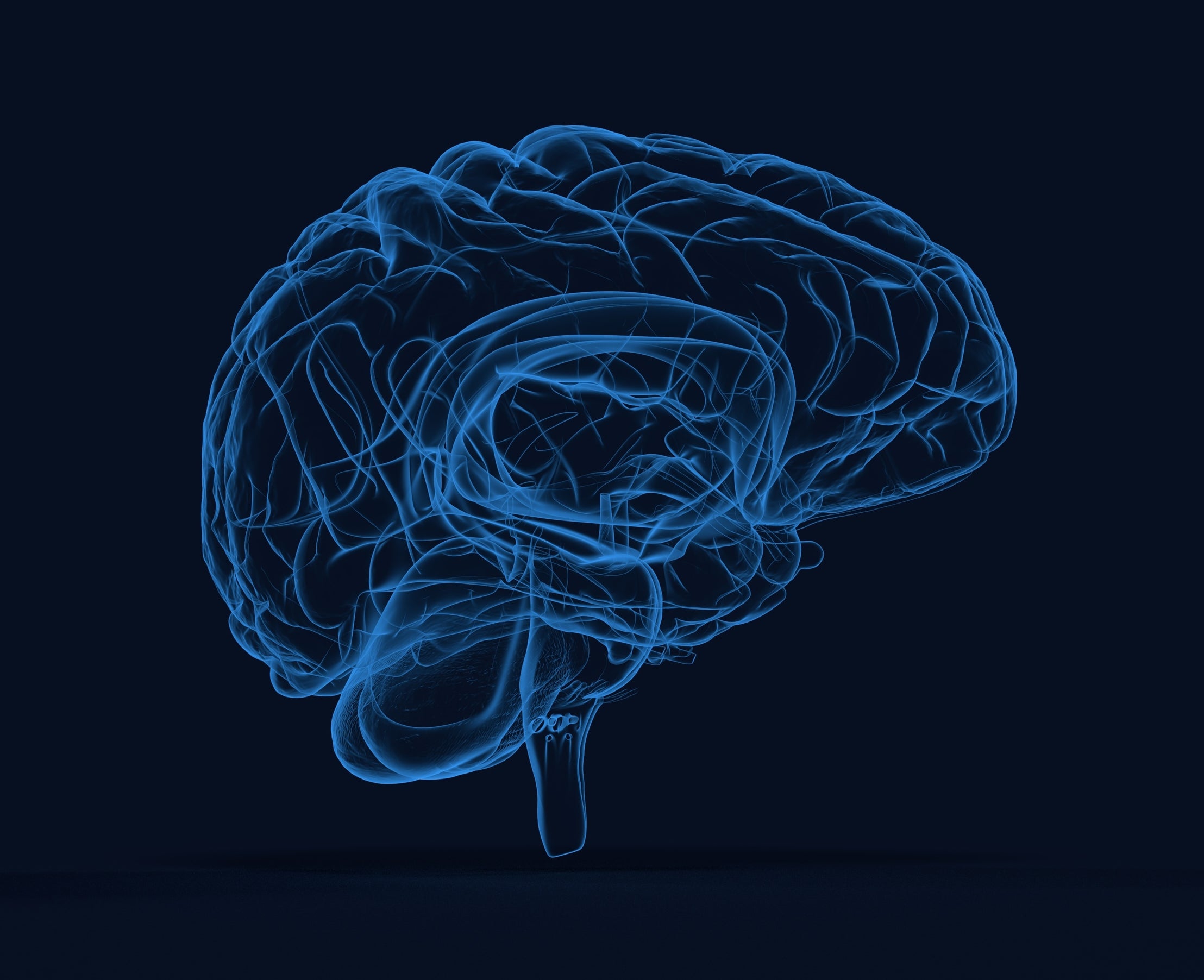 Paris Brain Institute